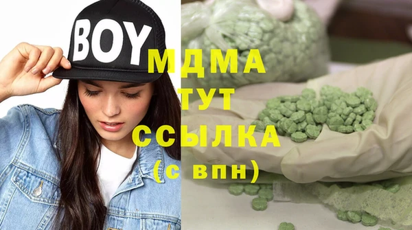 гидропоника Алзамай