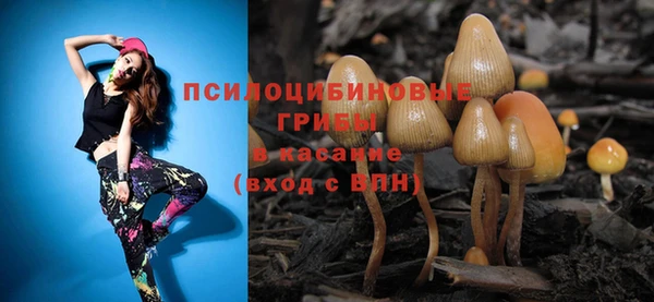 гидропоника Алзамай