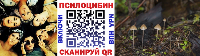 Псилоцибиновые грибы Cubensis  купить наркоту  Боровск 